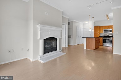 12905 Centre Park Cir unit 114, Herndon, VA 20171 - photo 4