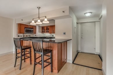 Washington on the Square unit 410, Brookline, MA 02446 - photo 4