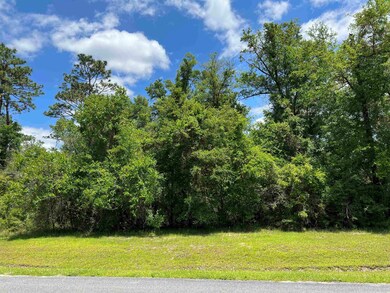 120 Sellars Dr, Crawfordville, FL 32327 - photo 3