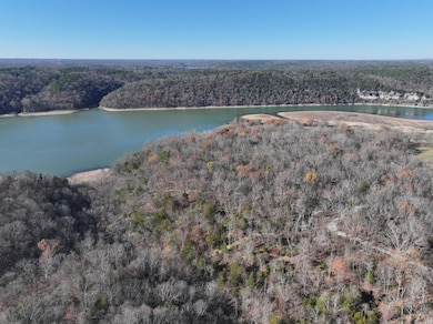 0 Hickory Springs Rd, Hindsville, AR 72738 - photo 3