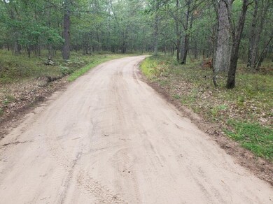 00 N Beaver Trail, Lilley Township, MI 49309 - photo 7