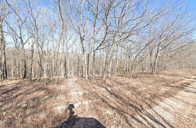 0 Eagle Dr, Eucha, OK 74342 - photo 7