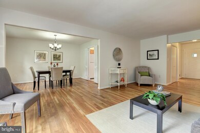 7 Saddlebrook Ct, Silver Spring, MD 20906 - photo 6