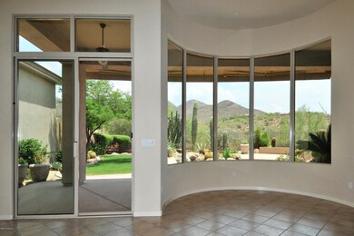 Looking Out