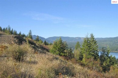 Cocolalla Lake View from this north-facing parcel.