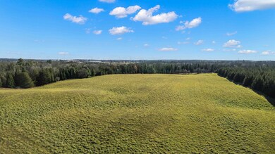 Lot 1 & 2 Maple Ln, Grant, WI 54486 - photo 7