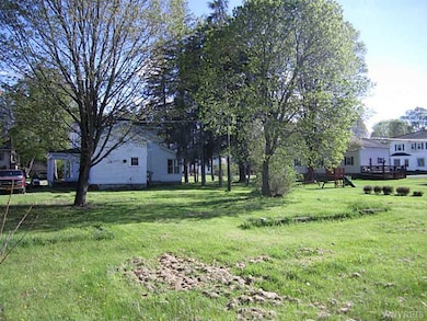 Backyard.