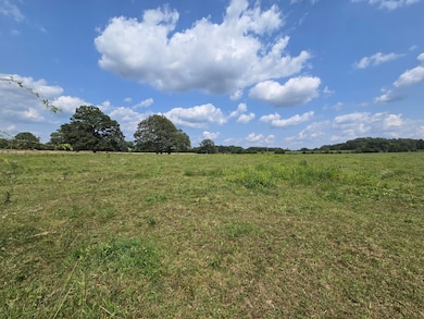 000 Highway 181, Cabool, MO 65689 - photo 2