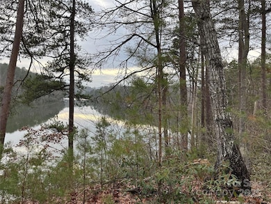 00 Jackson Cove Pkwy unit 2, Mill Spring, NC 28756 - photo 3