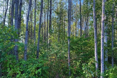 Corner Lucky Jog and Treasure Cove unit Garrison MN 56450, Garrison, MN 56450 - photo 7