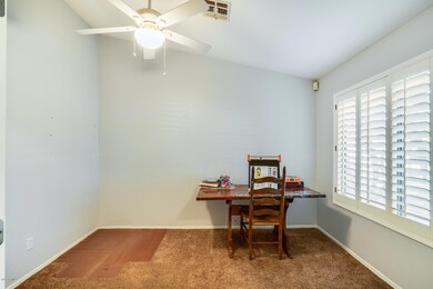 9737 E Jan Ave, Mesa, AZ 85209 - photo 6