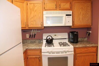 823 Baker Ave, Mankato, MN 56001 - photo 7
