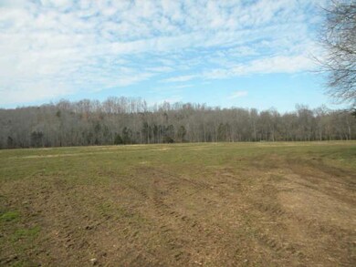 3599 Phillips Chapel Rd, Waynesboro, TN 38485 - photo 7