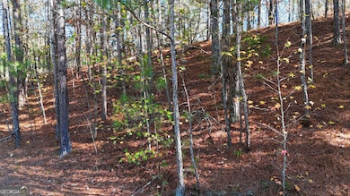 4189 Haralson Mill Rd NE, Conyers, GA 30012 - photo 7