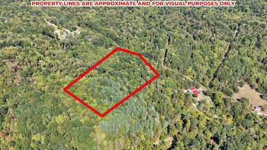 9-web-or-mls-DJI_20240913135243_0024_D -