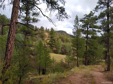 000 Gold Pan Trail, Cotopaxi, CO 81223 - photo 3