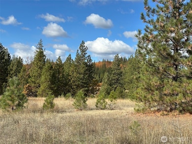 1 Garrison Rd, Goldendale, WA 98620 - photo 6