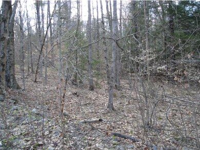 9.01 acre lot