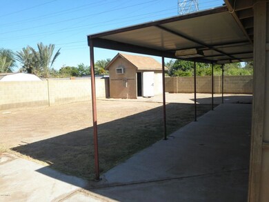 P5090010