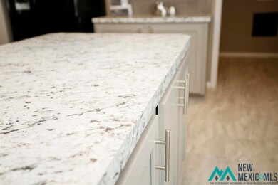 4214 Magnolia St, Carlsbad, NM 88220 - photo 6