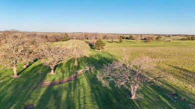 0 Cr 2245 unit 21066486, Ivanhoe, TX 75447 - photo 6