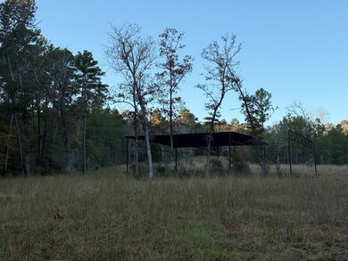 395 Texas 63, Burkeville, TX 75932 - photo 6