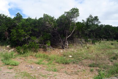 20810 Purple Finch, San Antonio, TX 78256 - photo 2