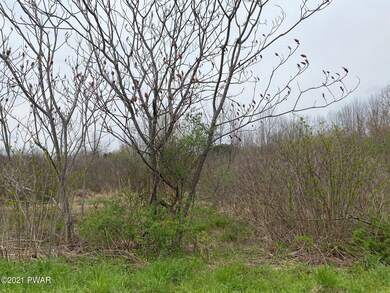 6 Pitcavage Ct, Cobbs Lake Preserve, PA 18436 - photo 6