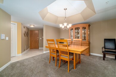 14100 Sheffield Dr unit 302, Homer Glen, IL 60491 - photo 4