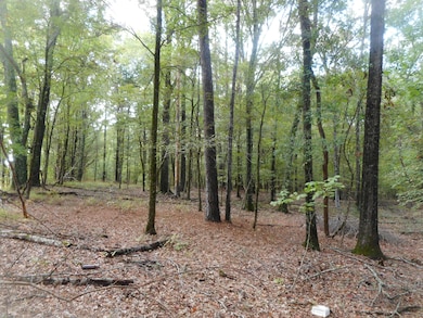 0 Anding Oil City Rd unit 25080163, Bentonia, MS 39040 - photo 7