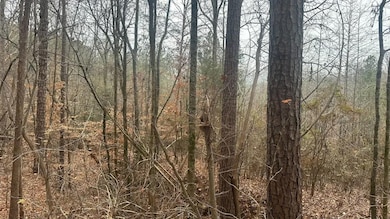 0 Tobe Wells Rd unit 25763462, Elberton, GA 30635 - photo 2