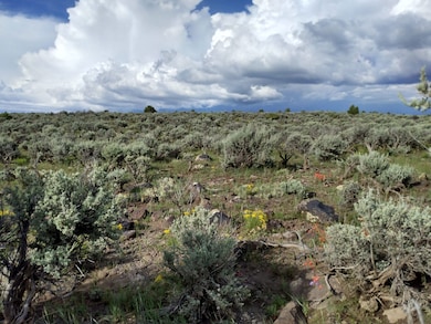 0 Palisades Ct N, San Luis, CO 81152 - photo 7