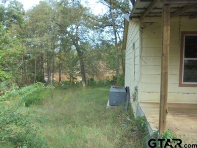 10250 County Road 3197, Arp, TX 75750 - photo 3