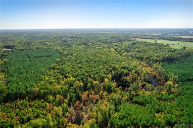 000 Concord Rd, Caroline, VA 22546 - photo 4