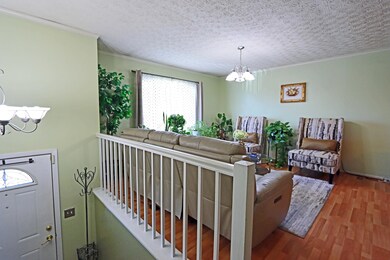 IMG_2017_edited-1