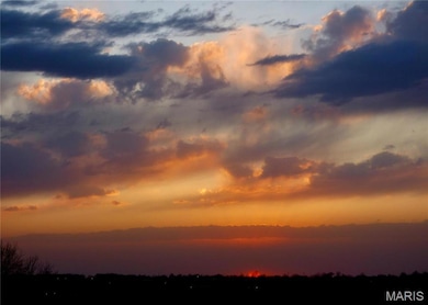 2377 Fiddler's Close Rd unit 115 STB, Washington, MO 63090 - photo 7