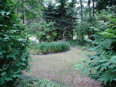 Yard/Garden. Backyard