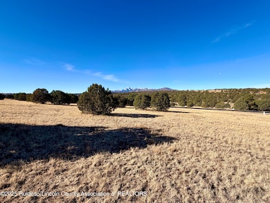 111 Rainmakers Dr, Alto, NM 88312 - photo 7