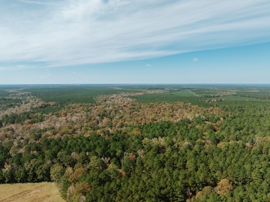 000 County Rd 81, Tinsman, AR 71631 - photo 2