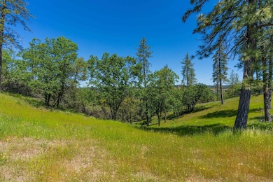 12377 Twin Pines Rd, Sutter Creek, CA 95685 - photo 2