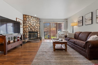 166 Yankee Girl Ct unit 215, Durango, CO 81301 - photo 5