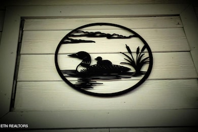 399 Texas Ln, Kingston, TN 37763 - photo 6