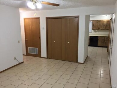 1 Milford Dr, Freeburg, IL 62243 - photo 4