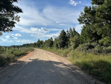 0 Netherland Dr, Midville, GA 30441 - photo 2