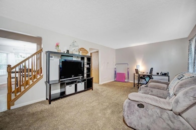 Large Living Room