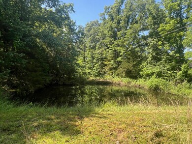 Pond located on the property