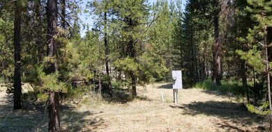 17436 Snow Goose Rd, Bend, OR 97707 - photo 3