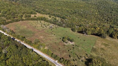 00 Golden Run Ln, Alpine Township, MO 65747 - photo 6