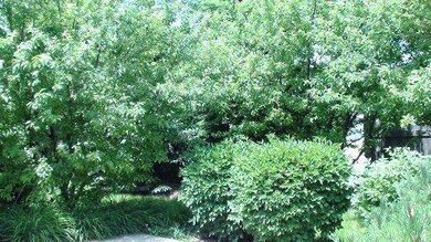 845 Havenshire Rd, Naperville, IL 60565 - photo 4