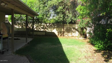 Rear Yard
